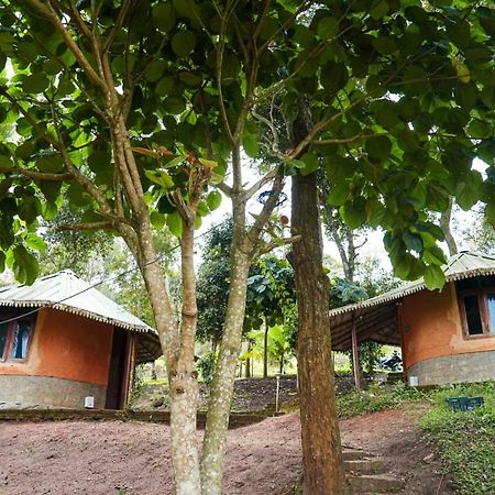 Punarjani Ayurvedic Resorts Ramakkalmedu Luaran gambar