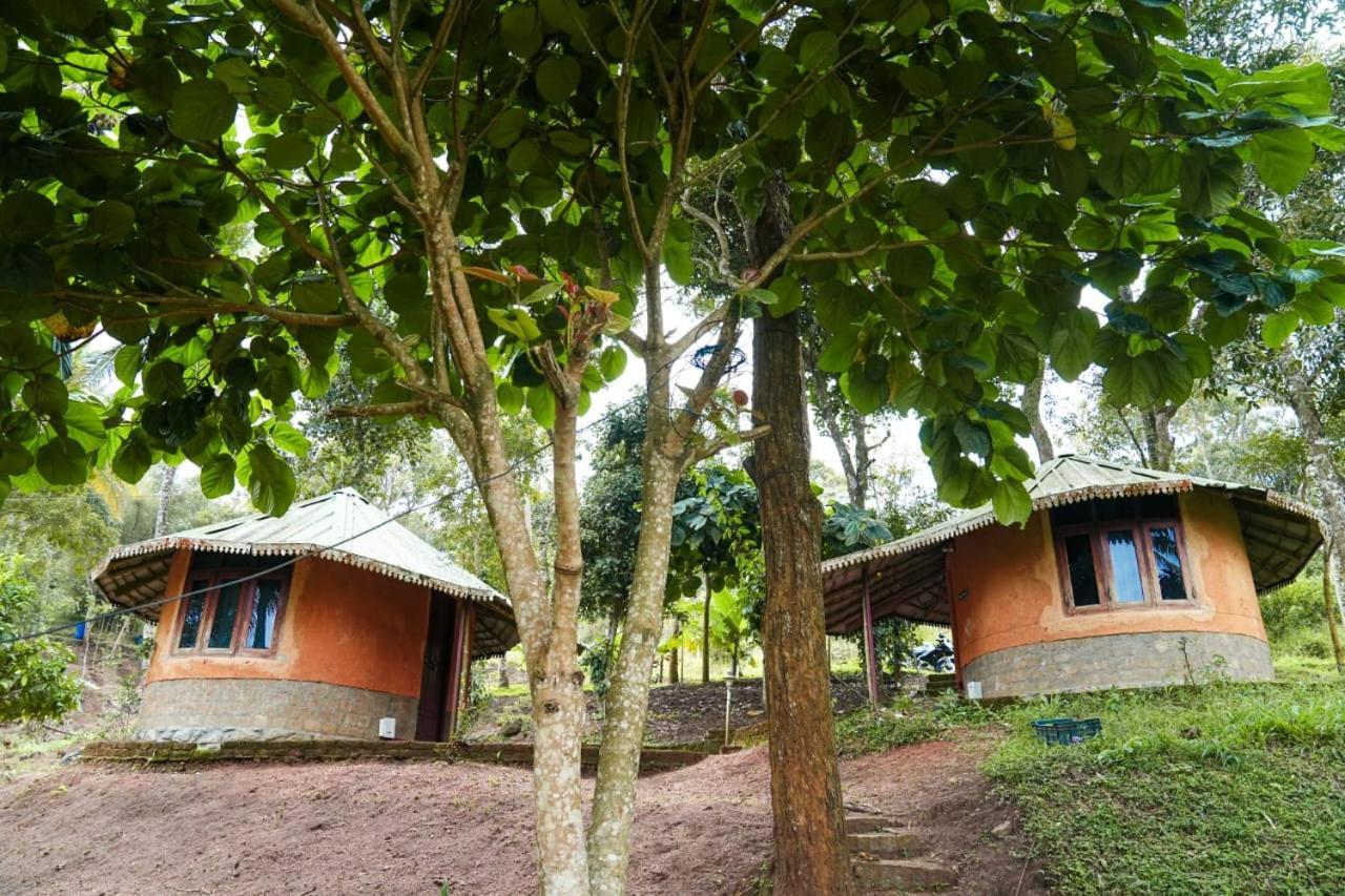 Punarjani Ayurvedic Resorts Ramakkalmedu Luaran gambar