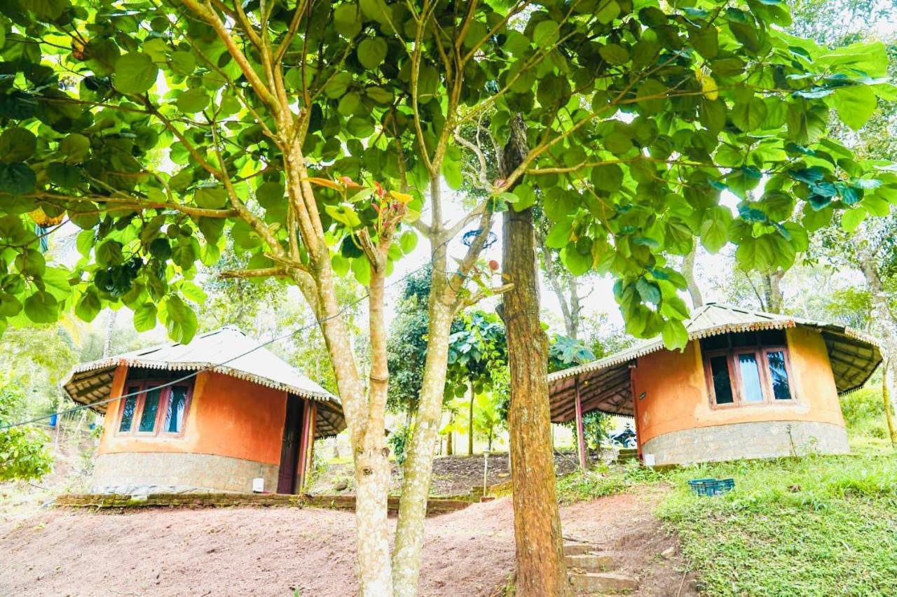 Punarjani Ayurvedic Resorts Ramakkalmedu Luaran gambar
