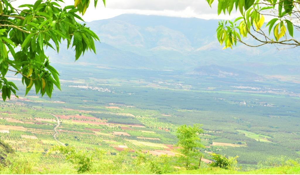 Punarjani Ayurvedic Resorts Ramakkalmedu Luaran gambar