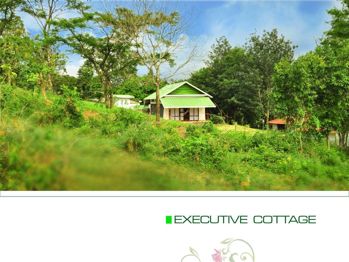 Punarjani Ayurvedic Resorts Ramakkalmedu Luaran gambar