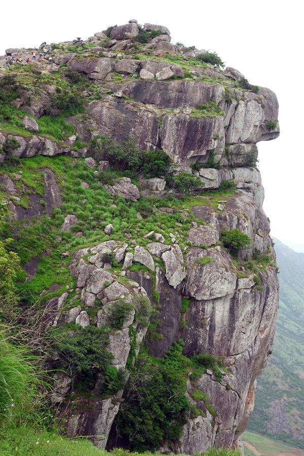 Punarjani Ayurvedic Resorts Ramakkalmedu Luaran gambar