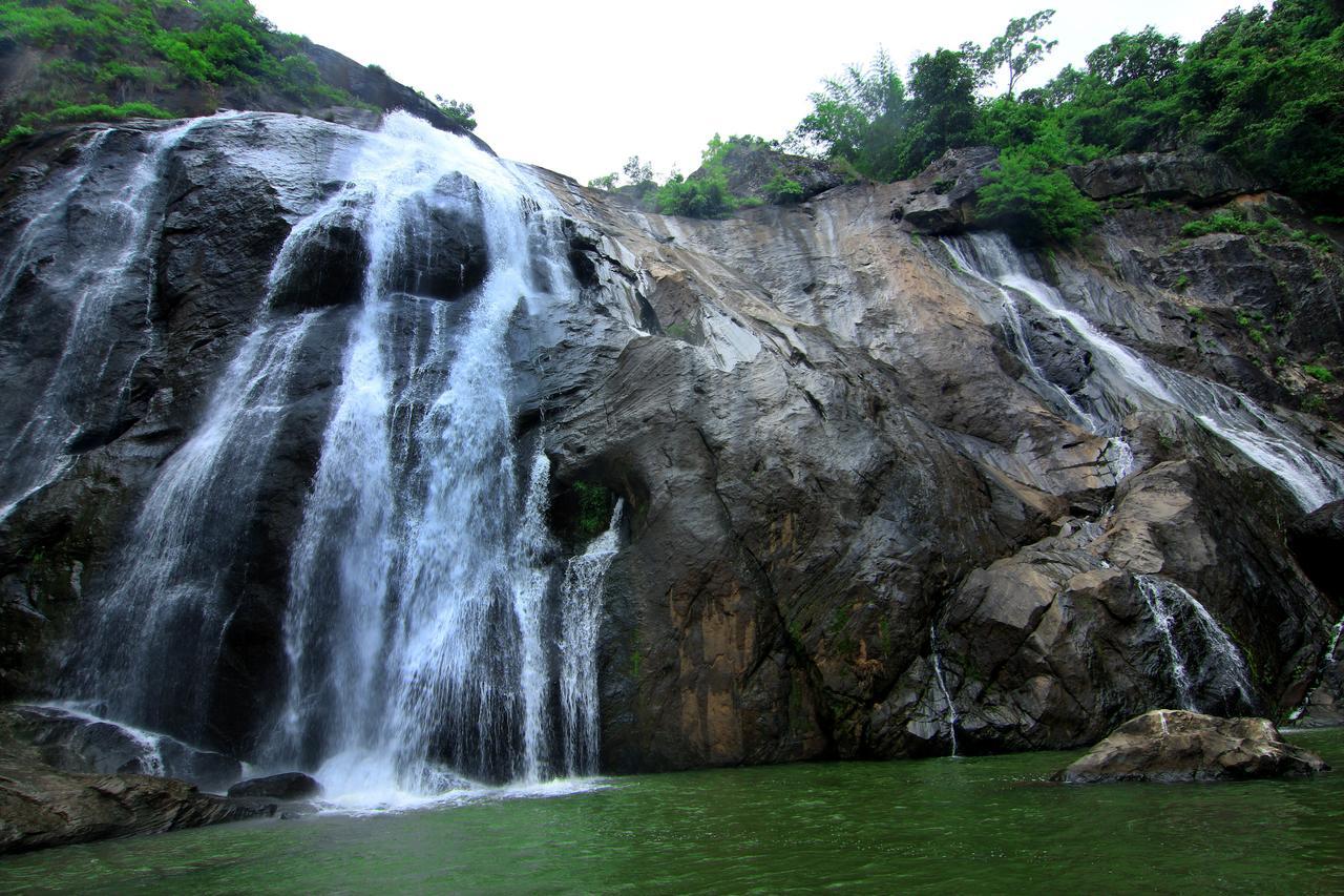 Punarjani Ayurvedic Resorts Ramakkalmedu Luaran gambar